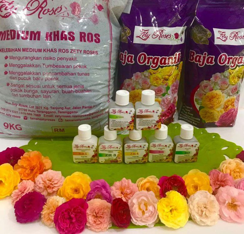 Rose Food Organic Viral Superb Iklanviral Net